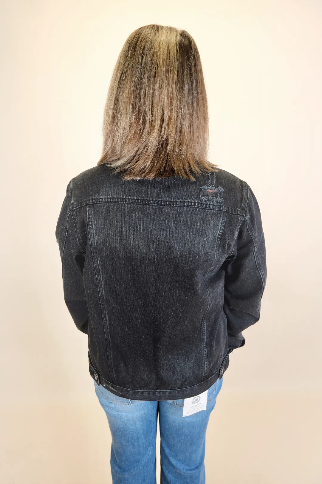 Darcy Distressed Denim Jacket